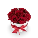 Box červených růží